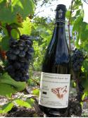 Le Loup des vignes syrah mondeuse